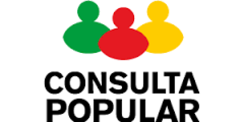 RESULTADOS CONSULTA POPULAR 2016-2017